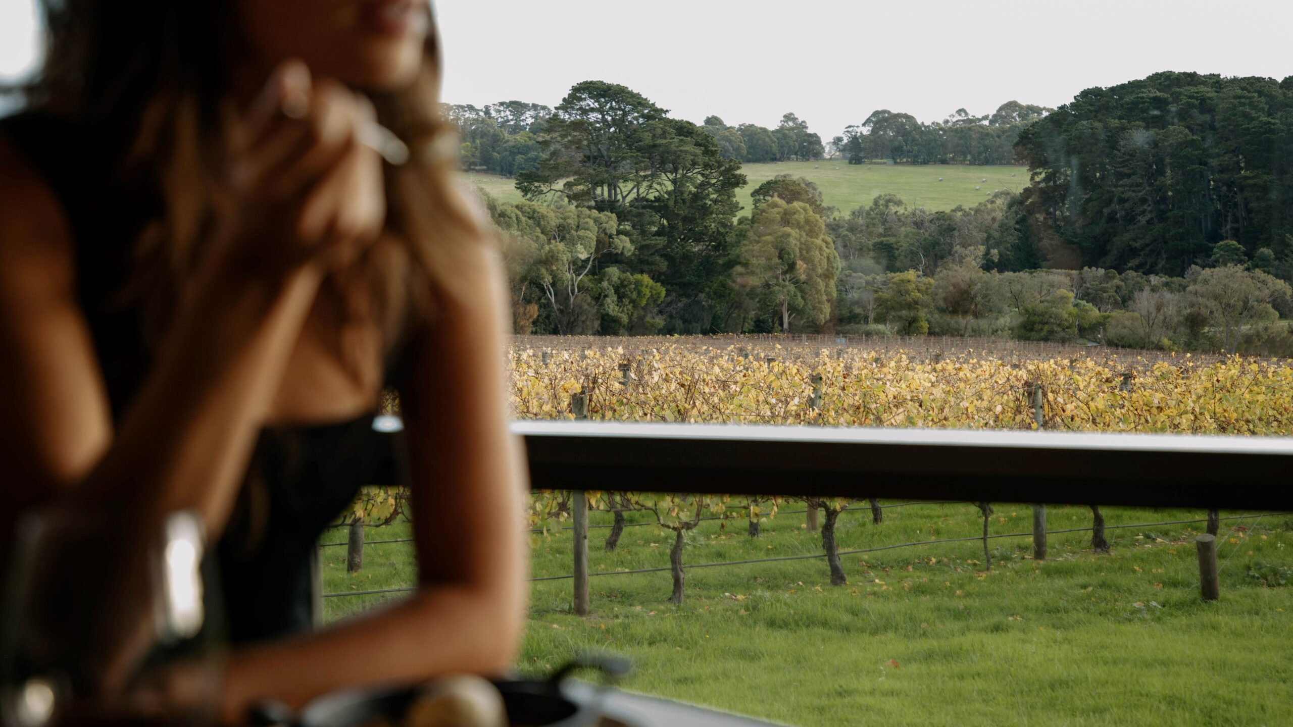 Rare Hare vineyard restaurant dining at Jackalope Hotel