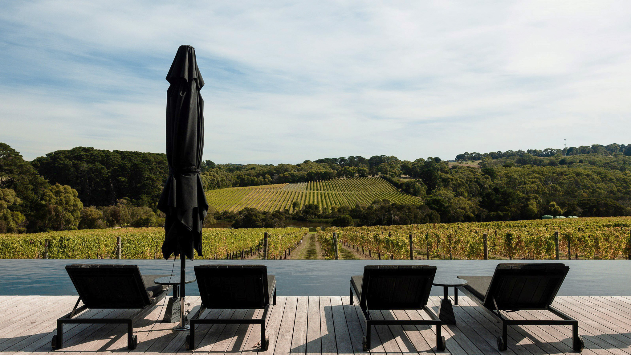 Autumn vineyard colours surrounding Jackalope Hotel