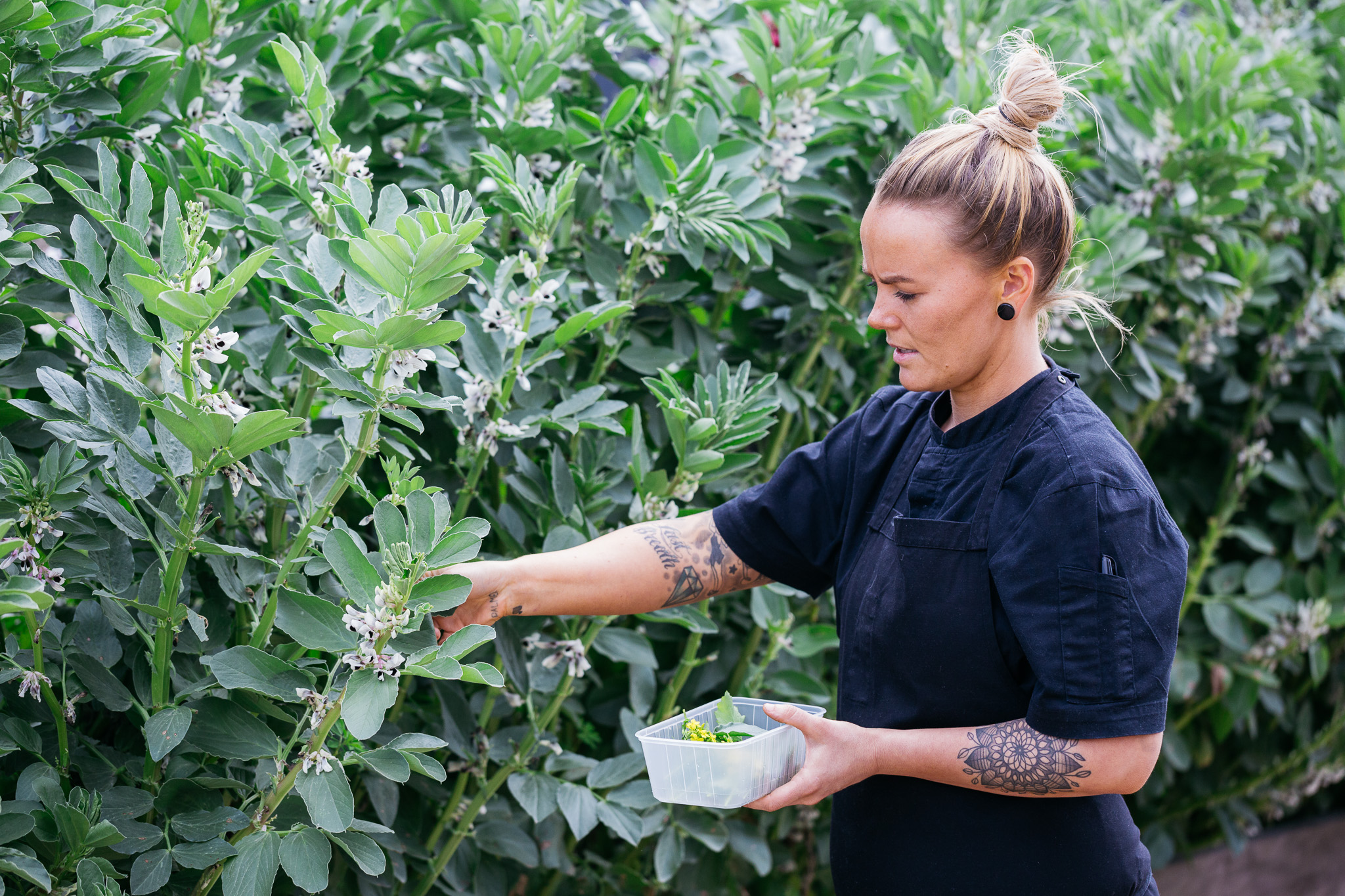 Kitchen vegetable garden supplying Jackalope Hotel restaurants