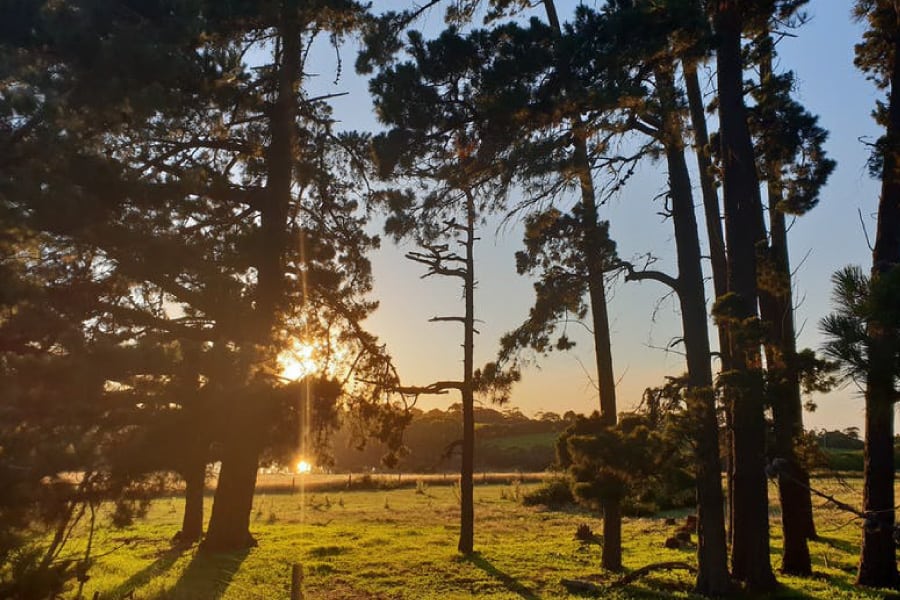 Merricks walking trail near Jackalope Hotel Mornington Peninsula