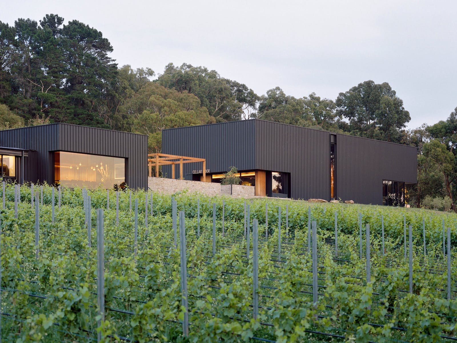 Ten Minutes by Tractor winery on the Mornington Peninsula