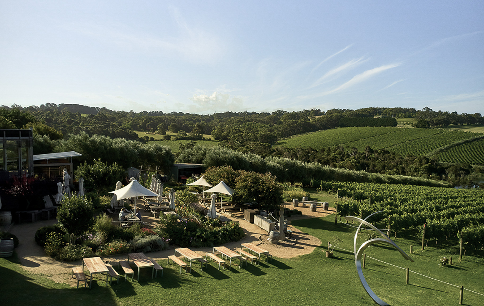 Montalto estate vineyard and dining on the Mornington Peninsula
