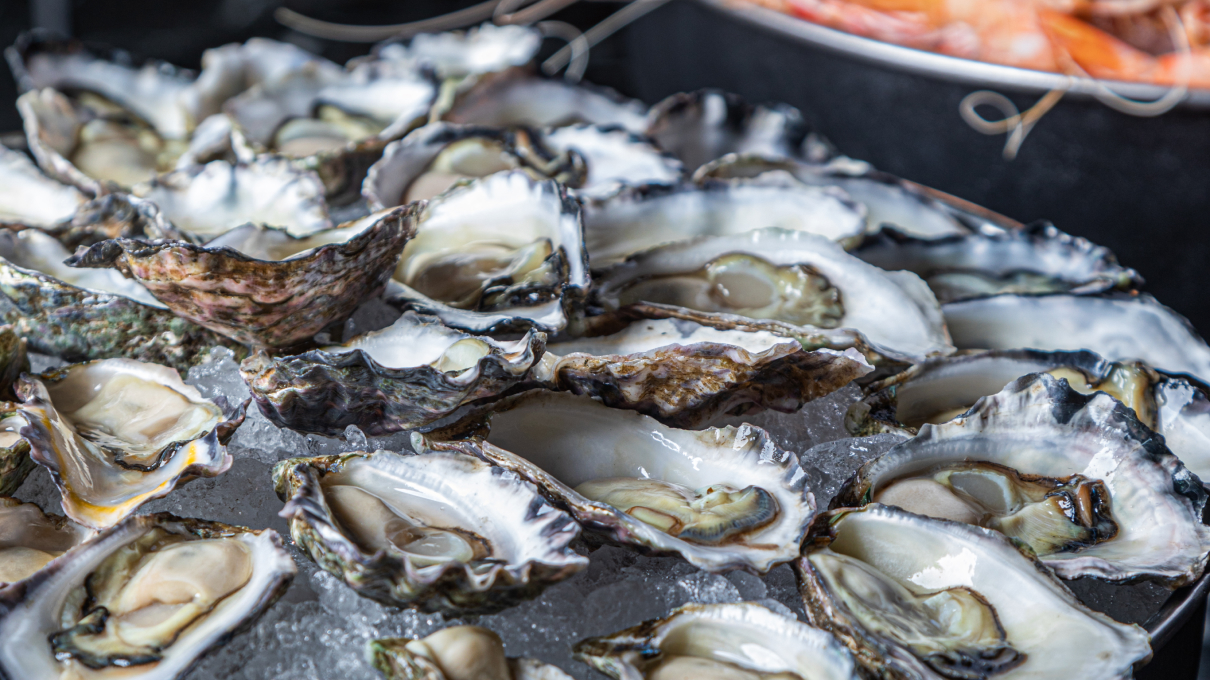 Oyster optional enhancements for festival events at Jackalope Hotel