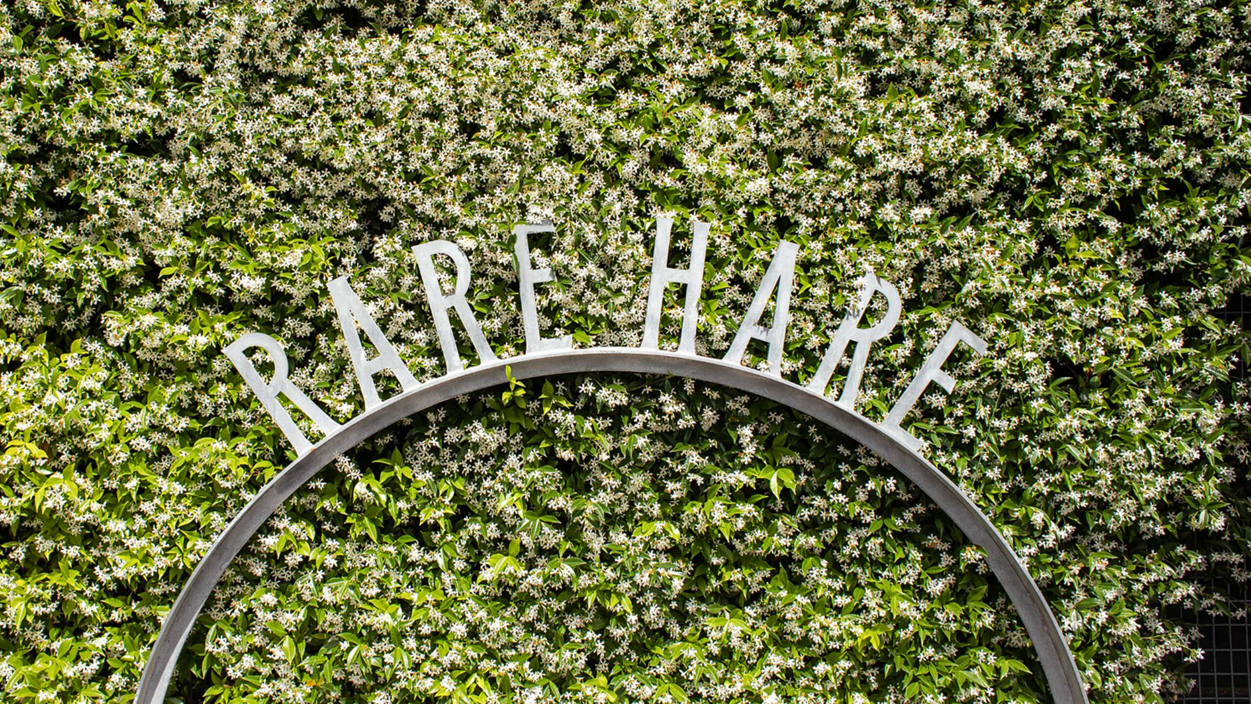 Rare Hare dining exterior sign among the bushes